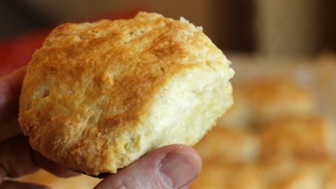 Buttermilk Biscuit Recipe