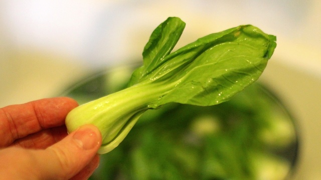 baby bok choy recipe