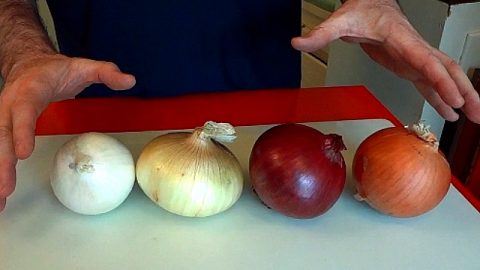 types of onions