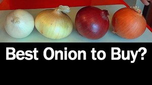 types of onions