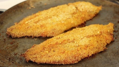 fried catfish recipe