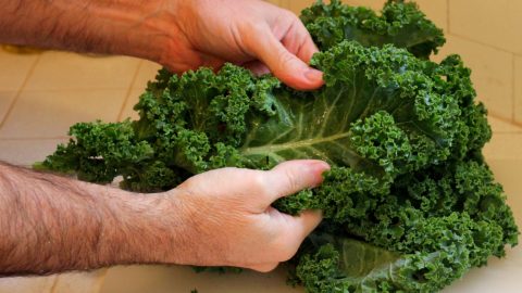 easy kale recipe