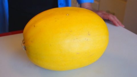 best spaghetti squash