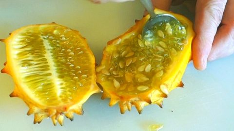 kiwano melon