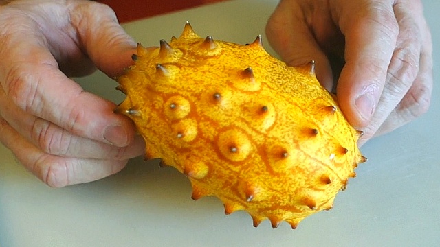 kiwano melon