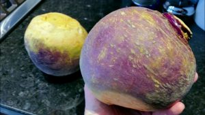 rutabaga recipe