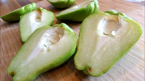 chayote squash