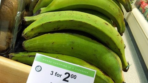 mashed plantains