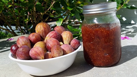 fig jam recipe