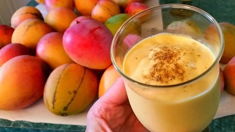 mango smoothie