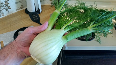 fennel recipe