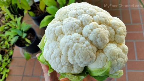 roasted cauliflower